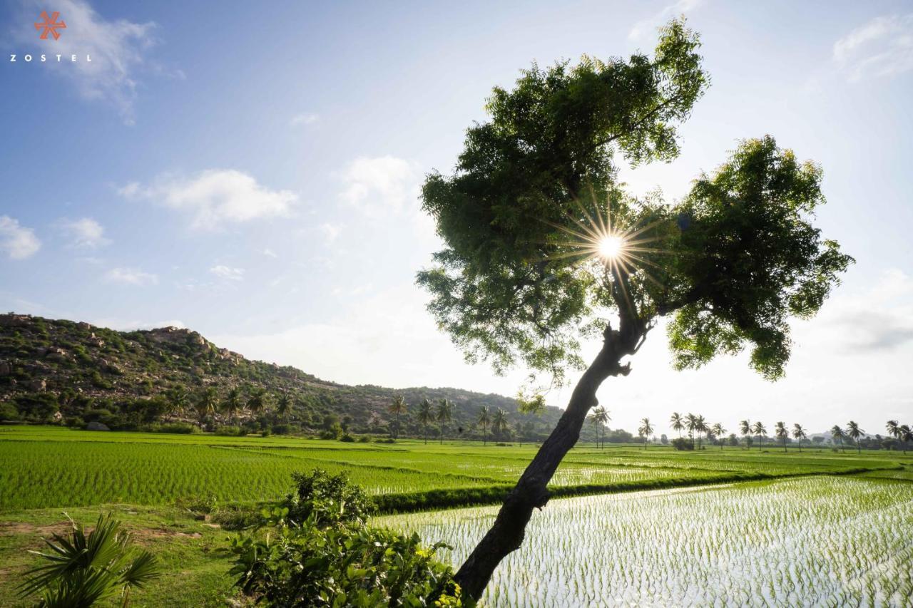 Zostel Hampi Hostel ภายนอก รูปภาพ